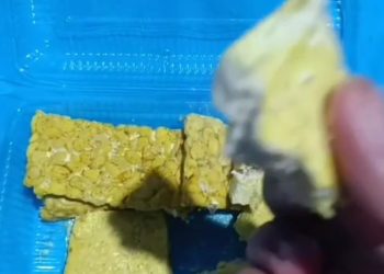 Viral di Medsos, Menu Tahu MBG SPPG di Terara Disebut Tak Layak Konsumsi