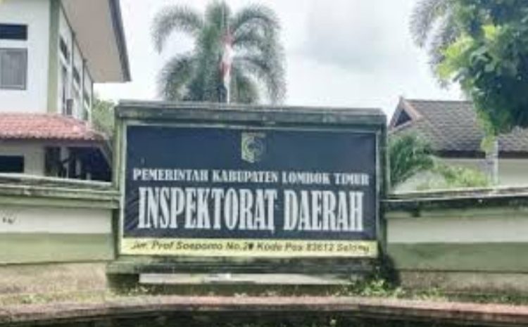 Inspektorat Lotim Engan Beberkan Hasil Riksus Sejumlah Desa