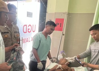 Segerombol Anjing Liar Serang Pelajar Sedang Main Layang-layang di Lotim Hingga Tewas