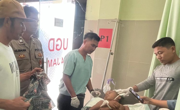 Segerombol Anjing Liar Serang Pelajar Sedang Main Layang-layang di Lotim Hingga Tewas