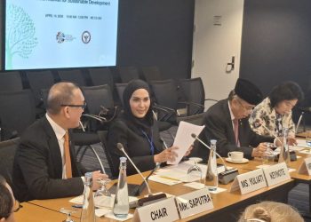 Sari Yuliati Tegaskan Komitmen Indonesia Bangun Pasar Karbon Berintegritas