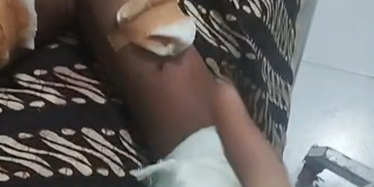 Kawanan Anjing Liar Kembali Menyerang Pelajar di Sakti