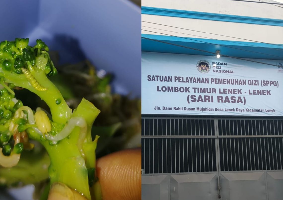 Dugaan Sayur Berulat di Program MBG Picu Kekecewaan Ibu Menyusui