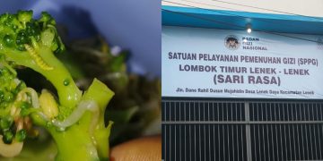 Dugaan Sayur Berulat di Program MBG Picu Kekecewaan Ibu Menyusui
