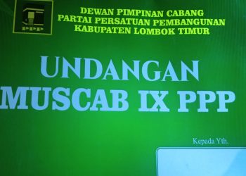Kader PPP di Lotim  Ingatkan Panitia Soal Status ASN PPPK Peserta Muscab