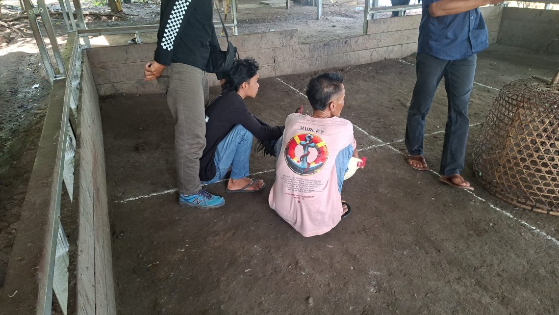 Polisi Gerebek Judi Sabu Ayam di Keruak
