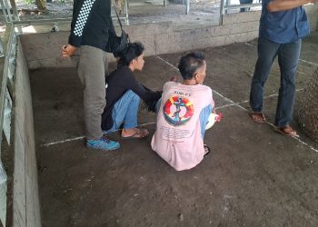 Polisi Gerebek Judi Sabu Ayam di Keruak