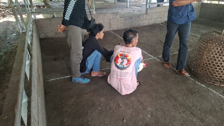Polisi Gerebek Judi Sabu Ayam di Keruak