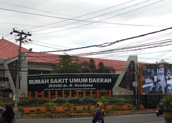 Korban Gigitan Anjing di Sakti Jalani Perawatan Intensif di RSUD Selong