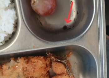 Orang Tua Siswa Soroti Omprengan Berkarat pada Program MBG di Lotim