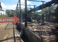 Kandang Ayam di Lotim Ludes Terbakar, Kerugian Capai Ratusan Juta