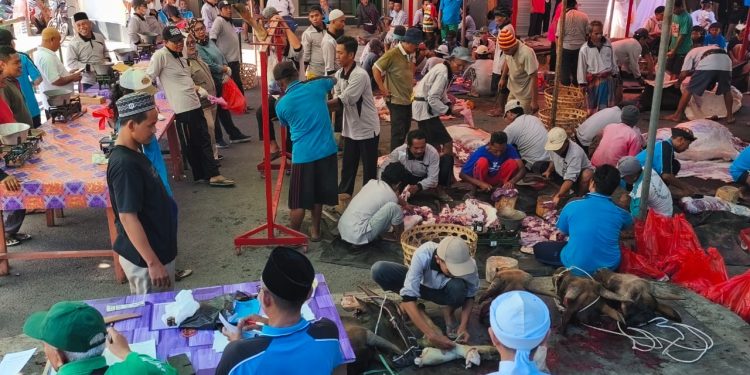 Tradisi Kurban Massal Kelayu, 40 Sapi Disembelih untuk Ribuan Warga