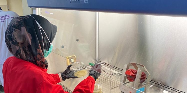 Kasus Keracunan MBG di Lotim Masih Nunggu Hasil Uji Lab dari BBPOM