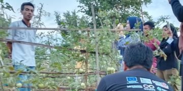 Dari Lahan Kering Jadi Produktif, Petani Lotim Kembangkan Sistem Irigasi Tetes