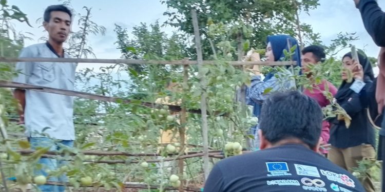 Dari Lahan Kering Jadi Produktif, Petani Lotim Kembangkan Sistem Irigasi Tetes