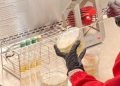 Hasil Uji Laboratorium Keracunan MBG di Pringgasela Ditemukan Kandungan Bakteri