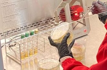 Hasil Uji Laboratorium Keracunan MBG di Pringgasela Ditemukan Kandungan Bakteri