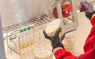 Hasil Uji Laboratorium Keracunan MBG di Pringgasela Ditemukan Kandungan Bakteri