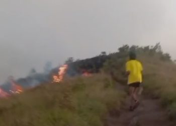 Bukit Sempana Sembalun Terbakar, Puluhan Wisatawan Dievakuasi