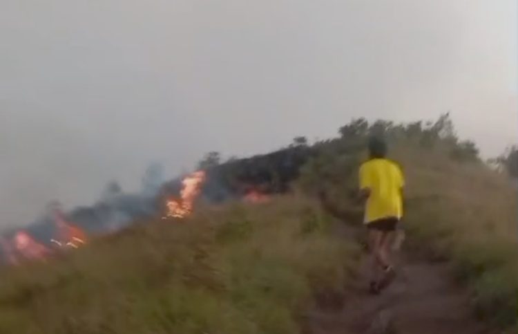Bukit Sempana Sembalun Terbakar, Puluhan Wisatawan Dievakuasi