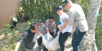 Warga di Lotim Terjatuh Dari Jembatan