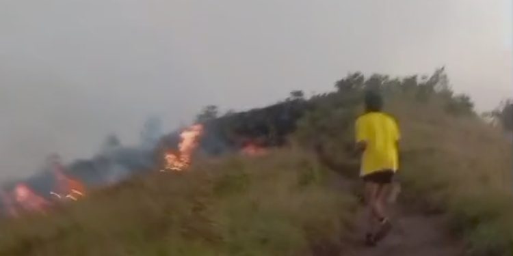 Warga Diminta Tingkatkan Kewaspadaan, BPBD Lotim Ingatkan Ancaman Kebakaran