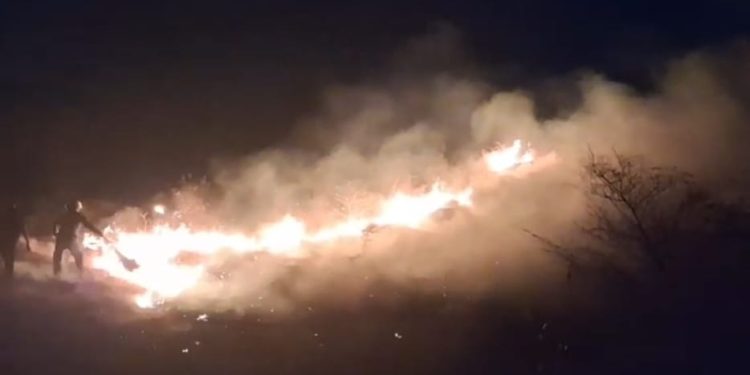 Bukit Khayangan Lotim Terbakar