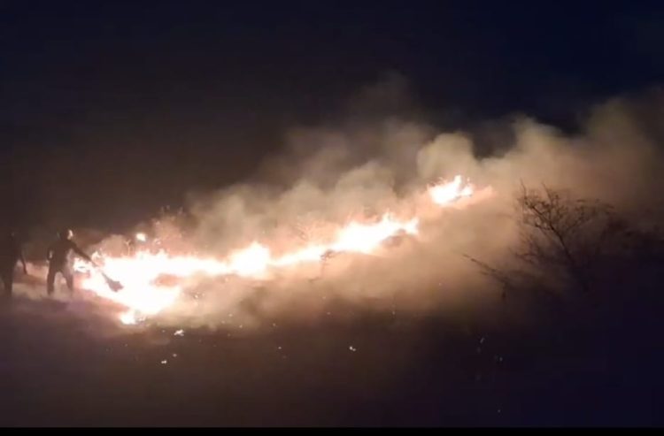 Bukit Khayangan Lotim Terbakar