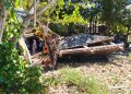 Belasan Gazebo di Pantai Lungkak Keruak Dirusak Warga