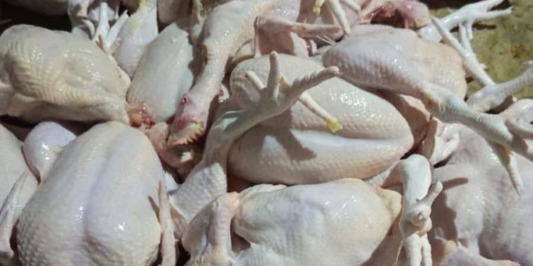 Survei Harga Dipertanyakan, Mitra SPPG Soroti Ketidaksesuaian di Pasar