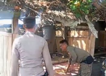 Petugas Tertibkan Lapak Remang-remang di Kawasan Pantai Labuhan Haji