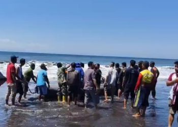 Pelajar SMP di Lotim Hilang Terseret Arus Pantai Komalasari