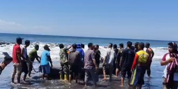 Pelajar SMP di Lotim Hilang Terseret Arus Pantai Komalasari
