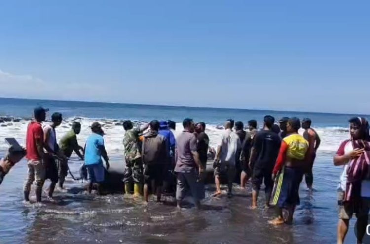 Pelajar SMP di Lotim Hilang Terseret Arus Pantai Komalasari