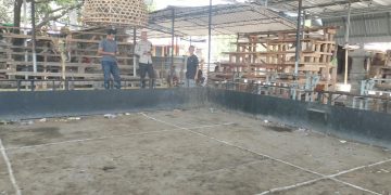 Dugaan Judi Sabung Ayam di Cakranegara Dibubarkan Polresta Mataram