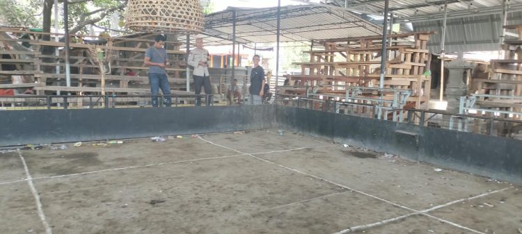 Dugaan Judi Sabung Ayam di Cakranegara Dibubarkan Polresta Mataram