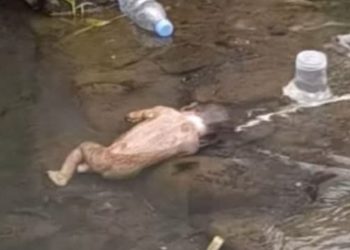 Geger Orok Bayi Dibuang di Sungai Lotim