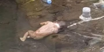 Geger Orok Bayi Dibuang di Sungai Lotim